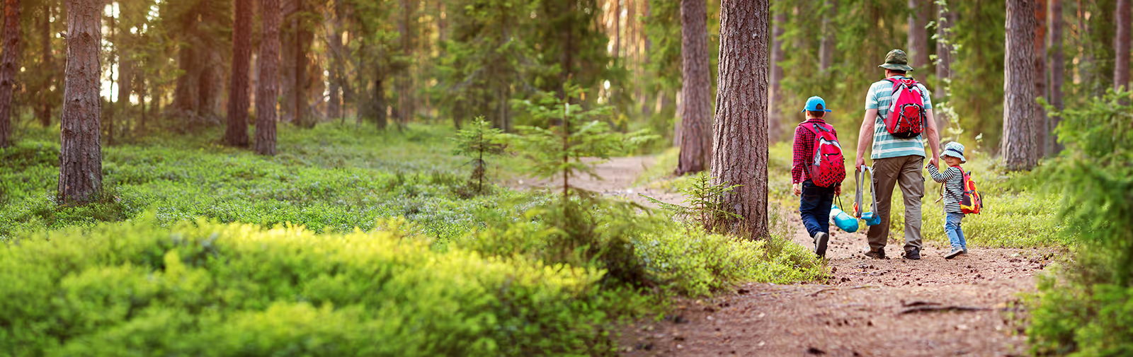 A family walking on a verdant trail through the woods