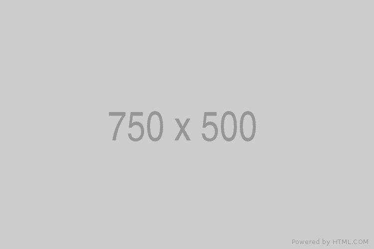 750x500